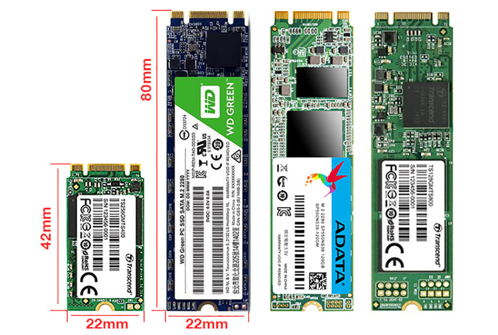 Ổ cứng SSD NVMe PCIe là gì? Ưu điểm so với các ổ cứng SSD khác? 4 SSD NVMe PCIe kích cỡ