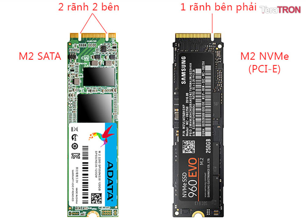 Ổ cứng SSD NVMe PCIe là gì? Ưu điểm so với các ổ cứng SSD khác? 5 SSD NVMe PCIe vs m2 sata